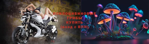 a pvp Арсеньев