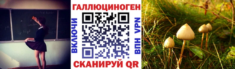 Галлюциногенные грибы Cubensis  купить наркоту  Нерюнгри 
